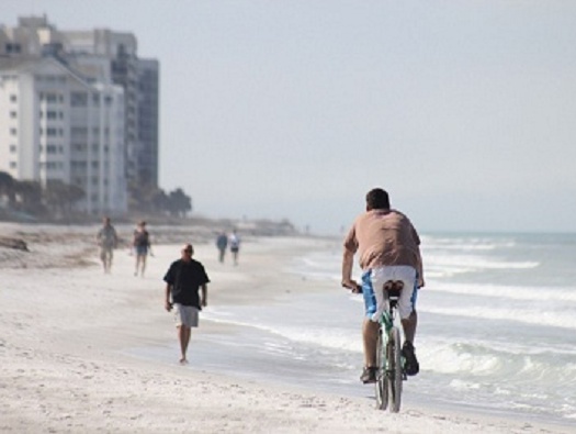 Sand Key And Beyond Sand Key And Beyond